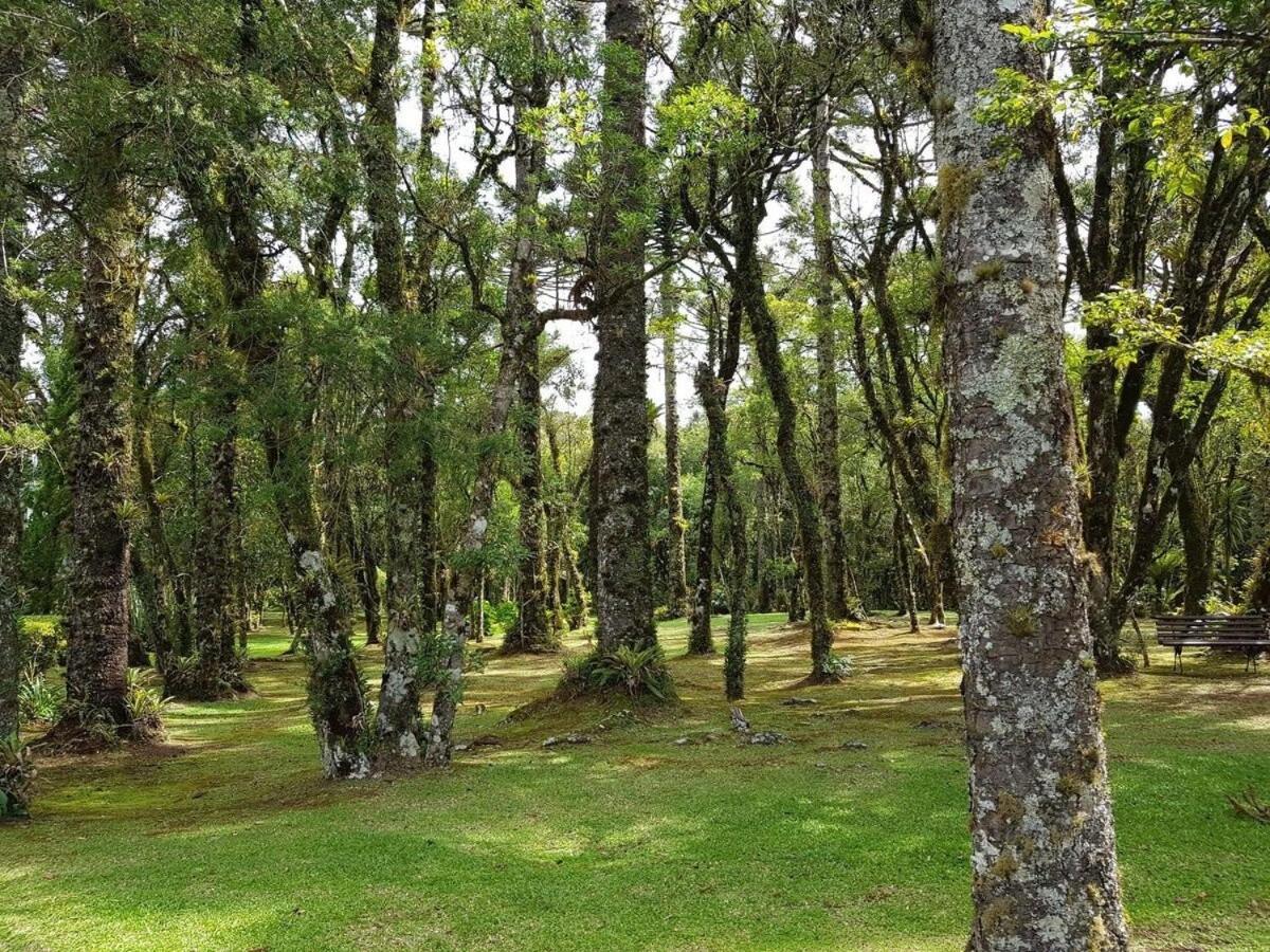 Apartamento Luxuoso Flat No Laje De Pedra -mountain Village