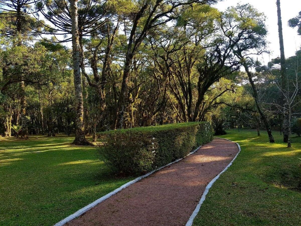 Apartamento Luxuoso Flat No Laje De Pedra -mountain Village Canela