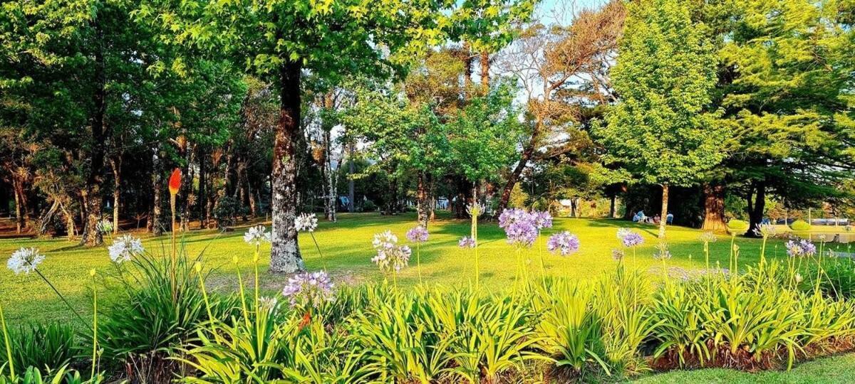 Luxuoso Flat No Laje De Pedra -mountain Village Apartment *