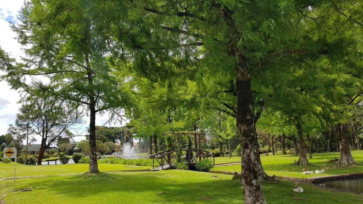 Luxuoso Flat No Laje De Pedra -mountain Village Apartment Canela