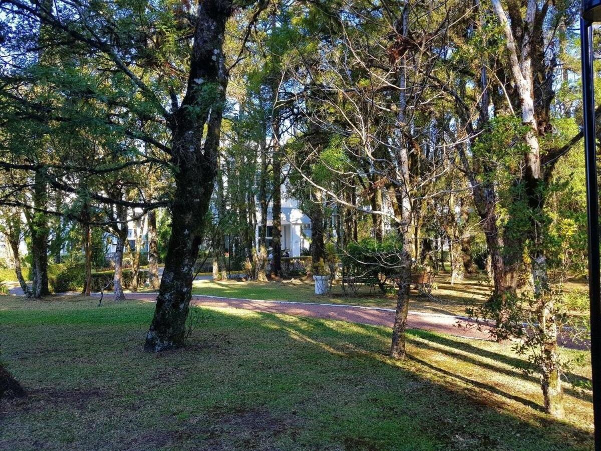 Luxuoso Flat No Laje De Pedra -mountain Village * Canela