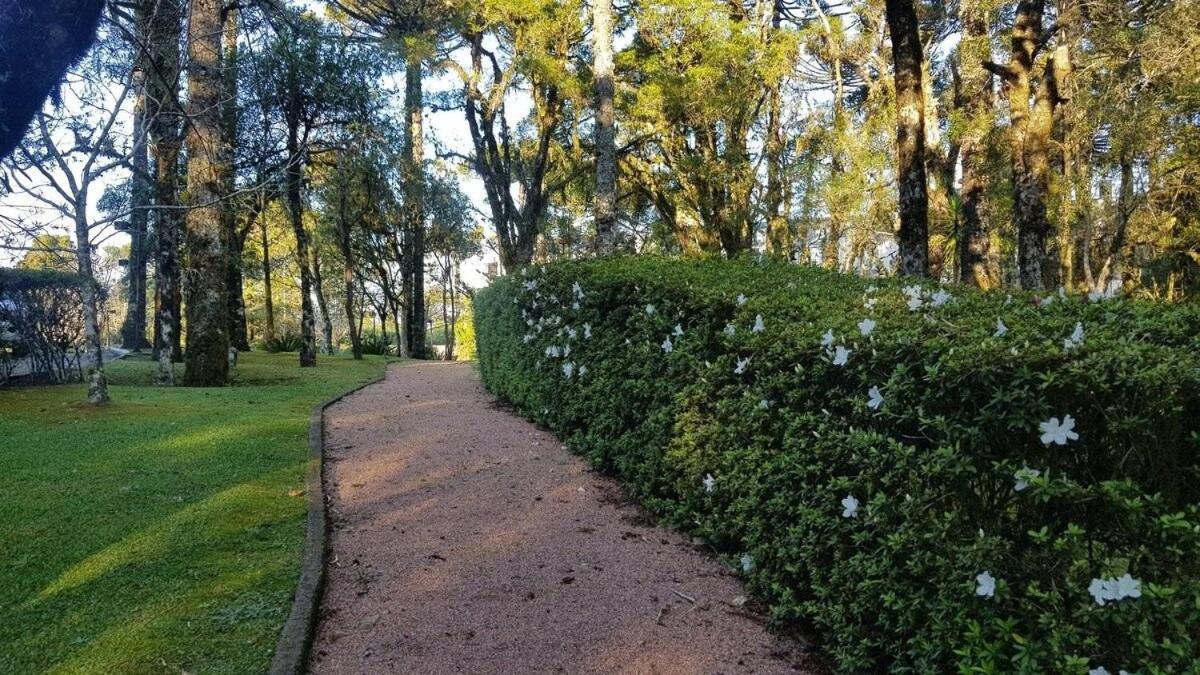 Luxuoso Flat No Laje De Pedra -mountain Village Apartment *